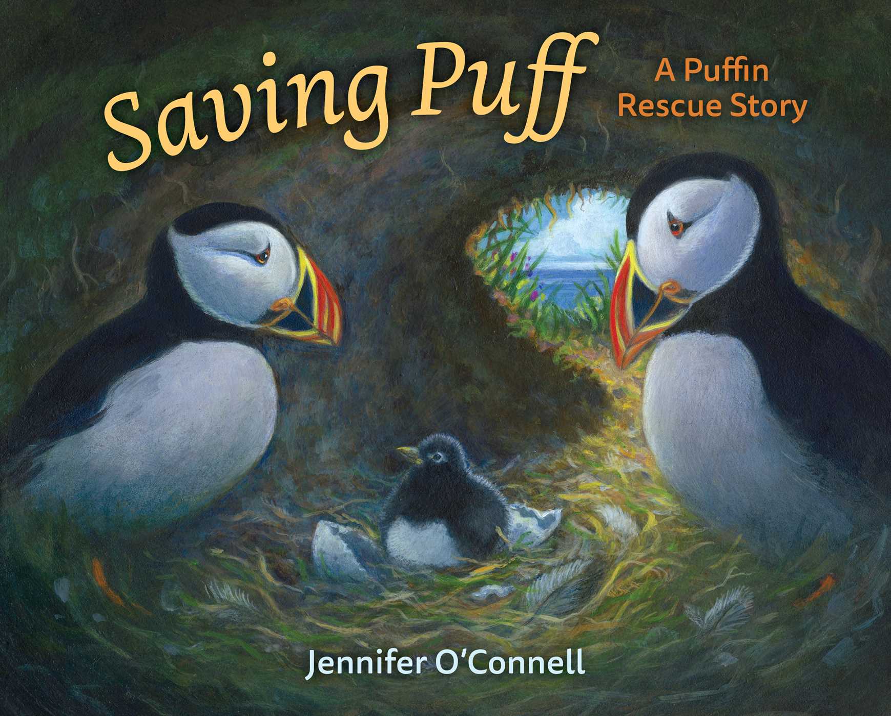 saving puff cover for homepage