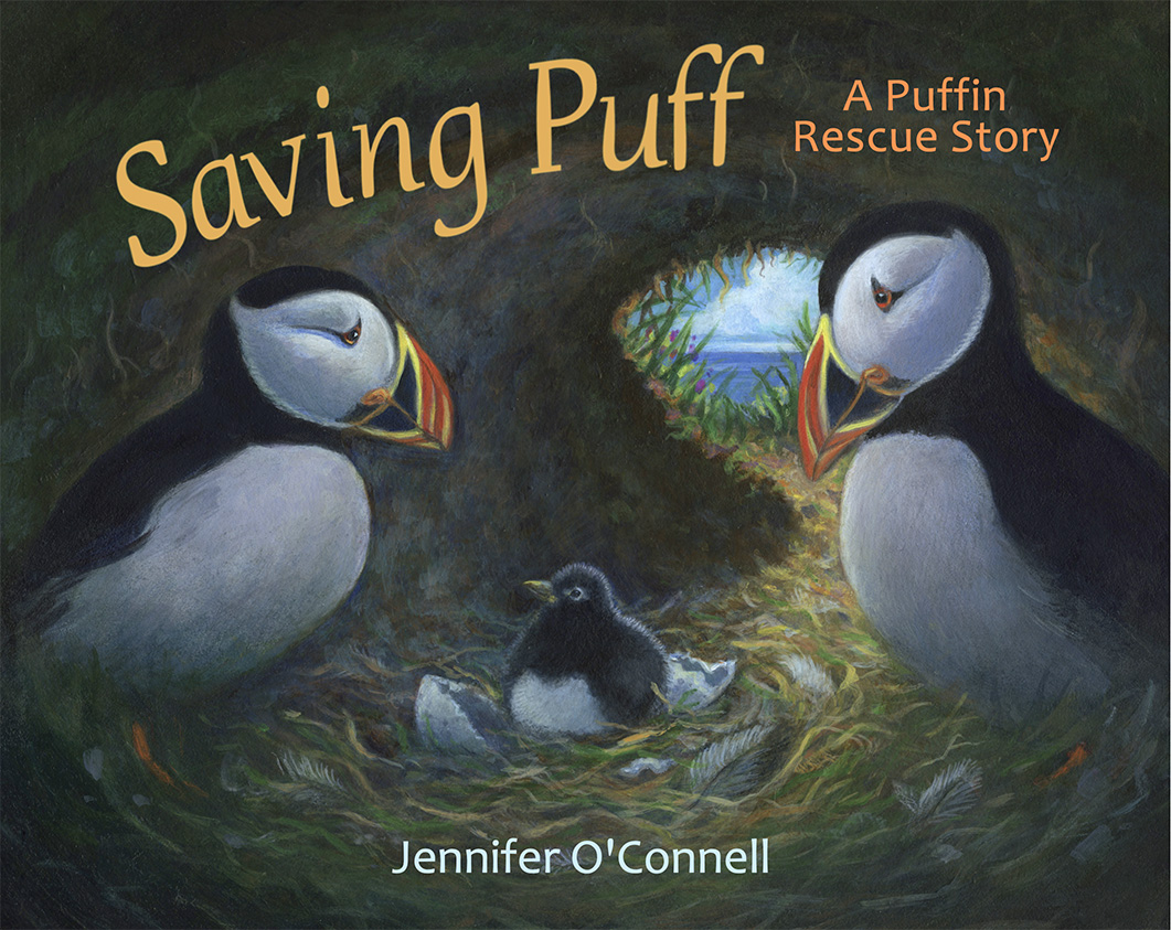 saving puff cover for homepage
